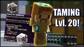 How I quickly reached Taming lvl. 20! (Hypixel Skyblock)