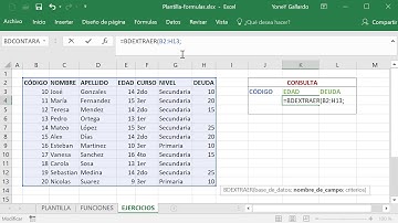 Función BDEXTRAER en Excel