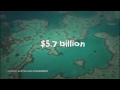 Great Barrier Reef "In Danger" | CNBC International