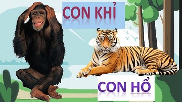 Bé Tìm Hiểu Các Con Vật Sống Trong Rừng: Khỉ, Báo, Hổ/ 5 phut hoc cho Be