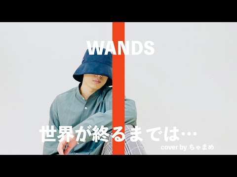 【世界が終わるまでは.../WANDS】『スラムダンク』映画化 祝！！ THE FIRST TAKE 風に歌ってみた cover by ちゃまめ