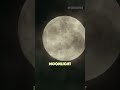 Xxxtentacion Moonlight Lyrics Xxxtentacion Moonlight Lyrics