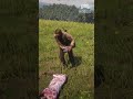 Old Man Skins Deer in RDR2