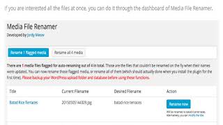Media File Renamer PRO v4 6 8 screenshot 5