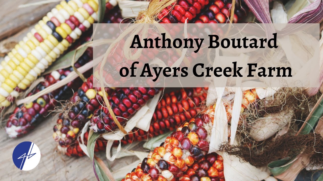 Interview with Anthony Boutard of Ayers Creek Farm The Good and Basic