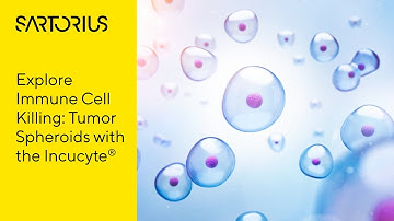 Introducing the Incucyte® Live-Cell Analysis System: Tumor Spheroids