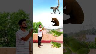 Frog to monkey, bear, dog & cat funny vfx magic बंदर भालू कुत्ता बिल्ली #shorts