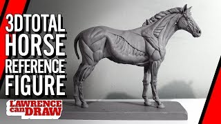 3DTotal horse equine Anatomy Drawing Reference Figure Review