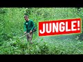 Weed Eater Dominating Crazy Tall Grass and Weeds