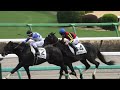 2026 03 22 中山競馬場第7レース　3歳1勝クラス2,000メートル（芝・右） プラウディッツ　ラディアントスター　マイネルマスター　他
