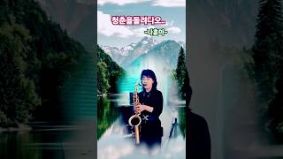 청춘을 돌려다오 젊음을 다오..shorts연주.
