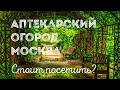 АПТЕКАРСКИЙ ОГОРОД МГУ. История и современность. Стоит ли посетить?