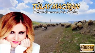 Tülay Maciran - Kolların Boynuma Dola Gidelim [ Dertli Duygulu Türkü Resimi