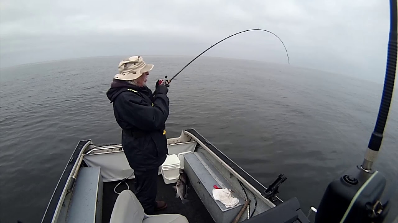 Hot rockfish bite... YouTube