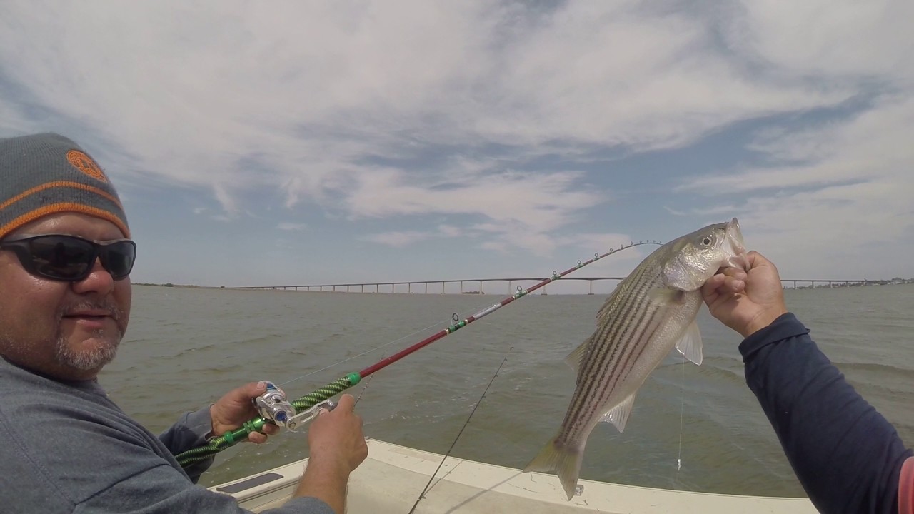 Stripers fishing in June 2017 YouTube