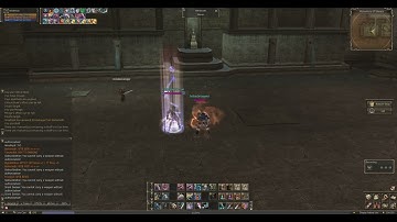 L2 Reborn Amethyst Light vs Behemoth Heavy top 1 dagger server hahaha