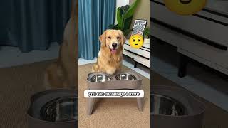 Lift Your Dogs Bowl If Theyre