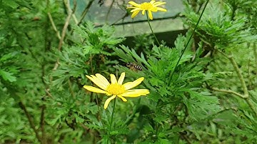 Samsung galaxy note 9 super slow motion effect.