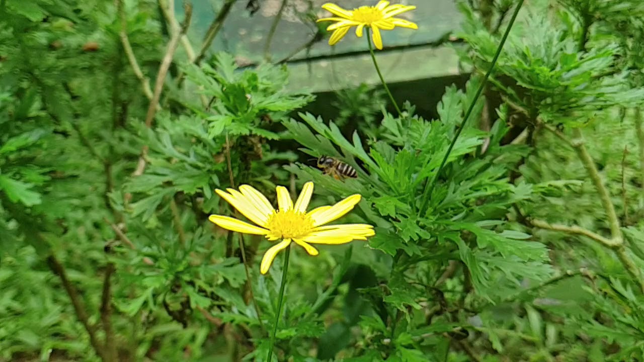 Samsung galaxy note 9 super slow motion effect.