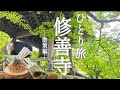 [ひとり旅] 緑豊かな修善寺で、伊豆名物の生わさびをいただく「修善寺―散策編―」