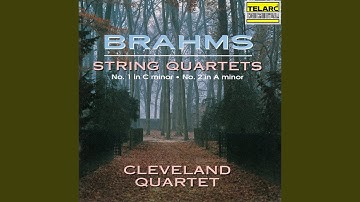 String Quartet No. 1 in C Minor, Op. 51 No. 1: IV. Allegro