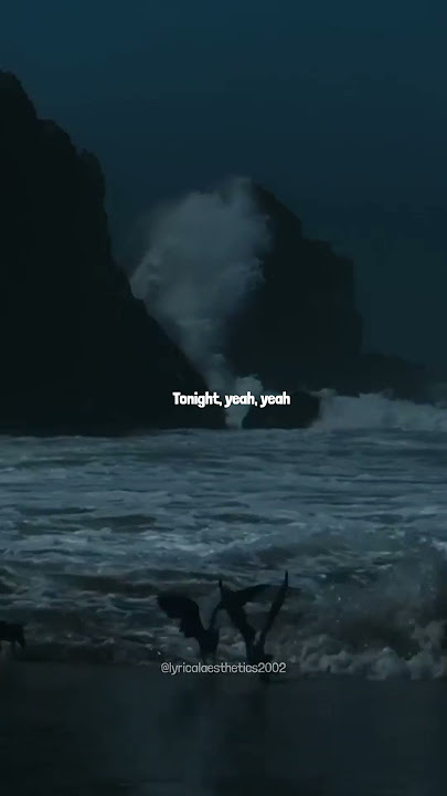 Into Your Arms | Witt Lowry | Ava Max | Lyrics | Lyrical Aesthetics | #lyrics #intoyourarms #music