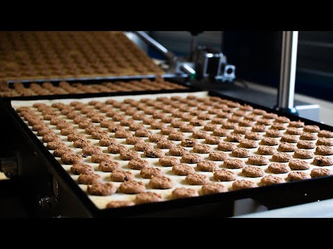 TerraSana visits cookie factory