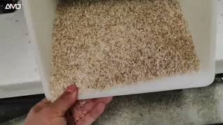 AMD Rice Color+Shape Deep Learning AI with Super Series P-RG Rice Color Sorter/Sorting Machine