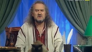 картинка: Казки Лірника Сашка. Про вдову Ганну Шулячку,Чорного козака і страшне закляття