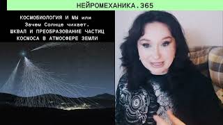 видео: Космобиология: Как Космос Меняет Твоё Тело картинка: Космобиология: Как Космос Меняет Твоё Тело