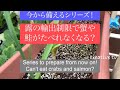 今から備えるシリーズ！露の輸出制限で蟹や鮭が食べれなくなる？