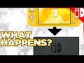 What Happens When You Dock a Switch Lite?