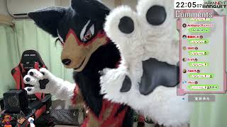 【fursuit/獣化#121】水曜のもふもふタイム🐾【ジュージュー/JuuJuu】#fursuit #獣化 #live