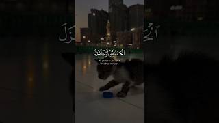 Al Kahf recitation by Sheikh Fares Abbad