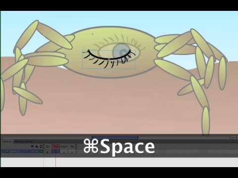 Flash CS5 Button Symbols.mov