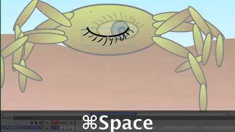 Flash CS5 Button Symbols.mov