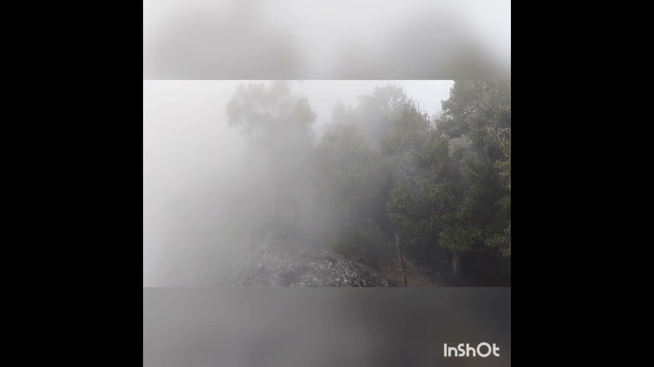 Udgamandalam (Ooty) trip