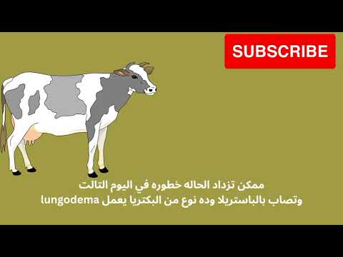 مرض الحمي الثلاثيه 3 