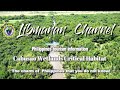Cabusao Wetlands Critical Habitat - Philippines, Camarines Sur,Libmanan,Wetland,Bird, drone,熊本,ドローン