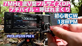 7MHz 逆V型フルサイズDPの威力 CONDXいまひとつでも呼ばれまくり初心者CW 18WPM JP1229 砧公園 2024/04/20 アマチュア無線 VLOG 463