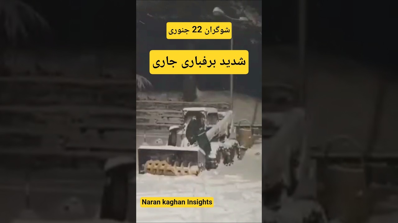 Шогран сегодня | Сильный снегопад в долине Наран-Каган в Шогране сегодня.