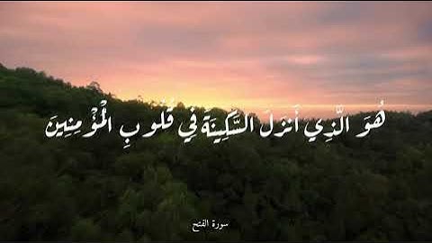 سورة الفتح - القارئ عبدالرحمن مسعد - آية السكينة { هُوَ الَّذِي أَنزَلَ السَّكِينَةَ....}