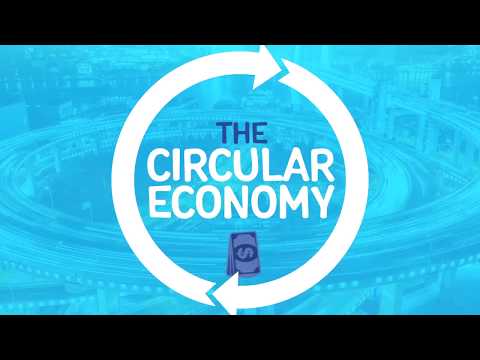 Explainer: The Circular Economy