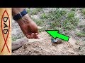 Gopher fishing tip - how to catch  pocket gophers every time.