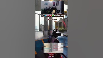 *NEW* XRK Stalker Ironsight Gives Me Hacks  #modernwarefare3  #cod  #warzone