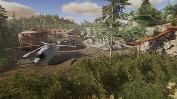 daytime forest _ Unity HDRP Cinematic Environment Render