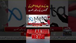 Meta Employees Laid Off With 16 Weeks Salary | Voice News