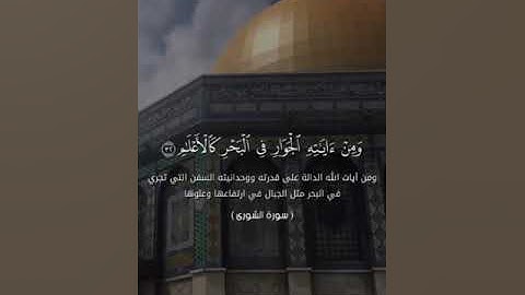 تلاوة من سورة الشورى ♥️