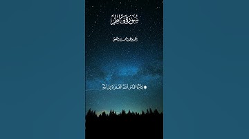 سورة فاطر القارئ أحمد النفيس تلاوة مؤثرة