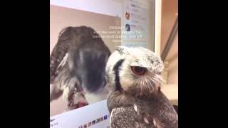 Tell your library story in 60 seconds